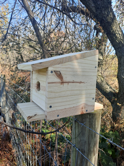 Build-A-Birdhouse Post Mount