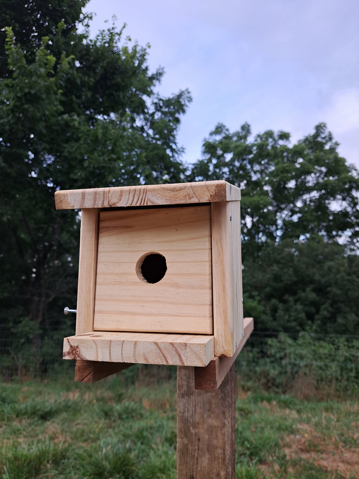 Build-A-Birdhouse Post Mount