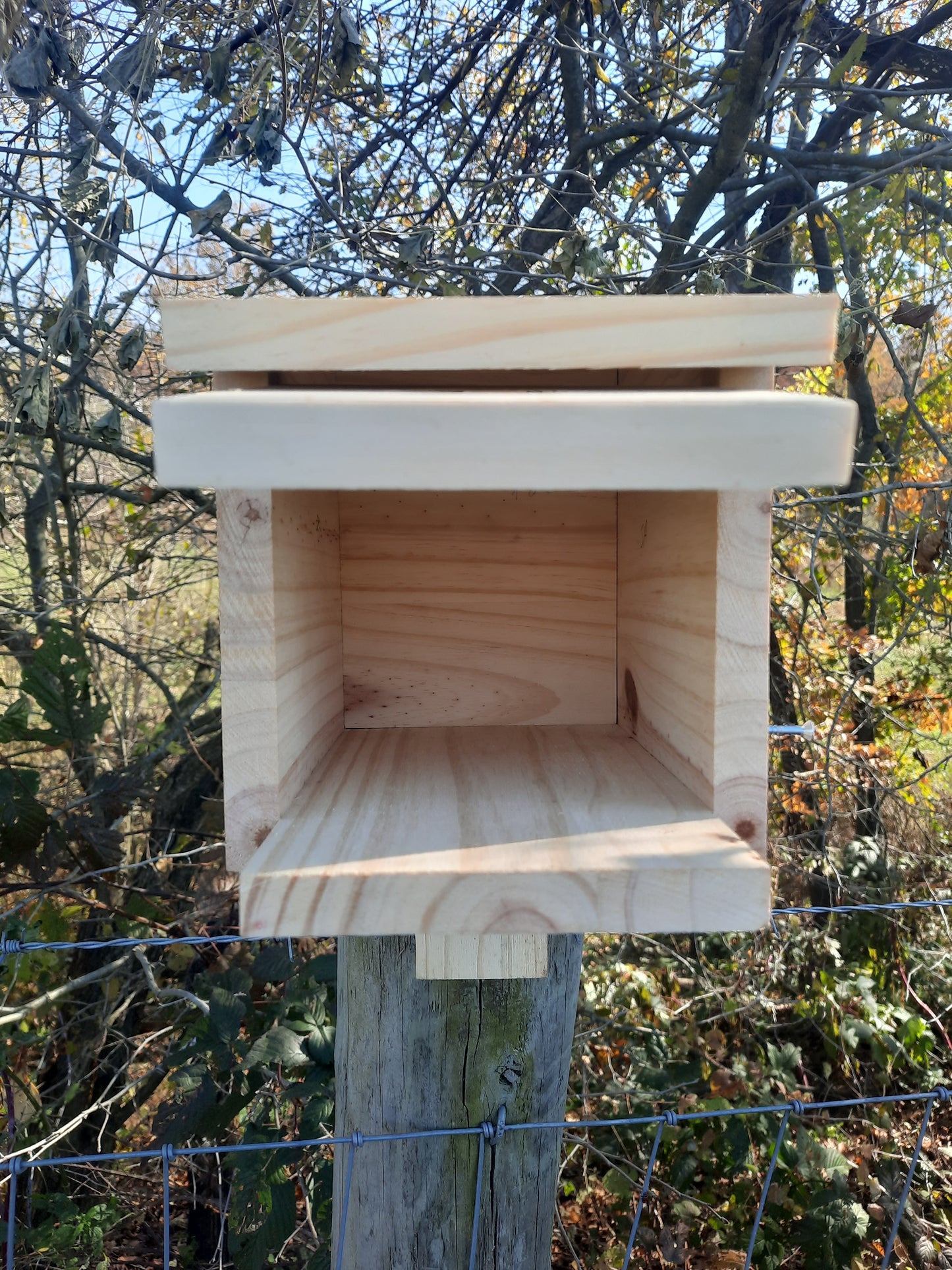 Build-A-Birdhouse