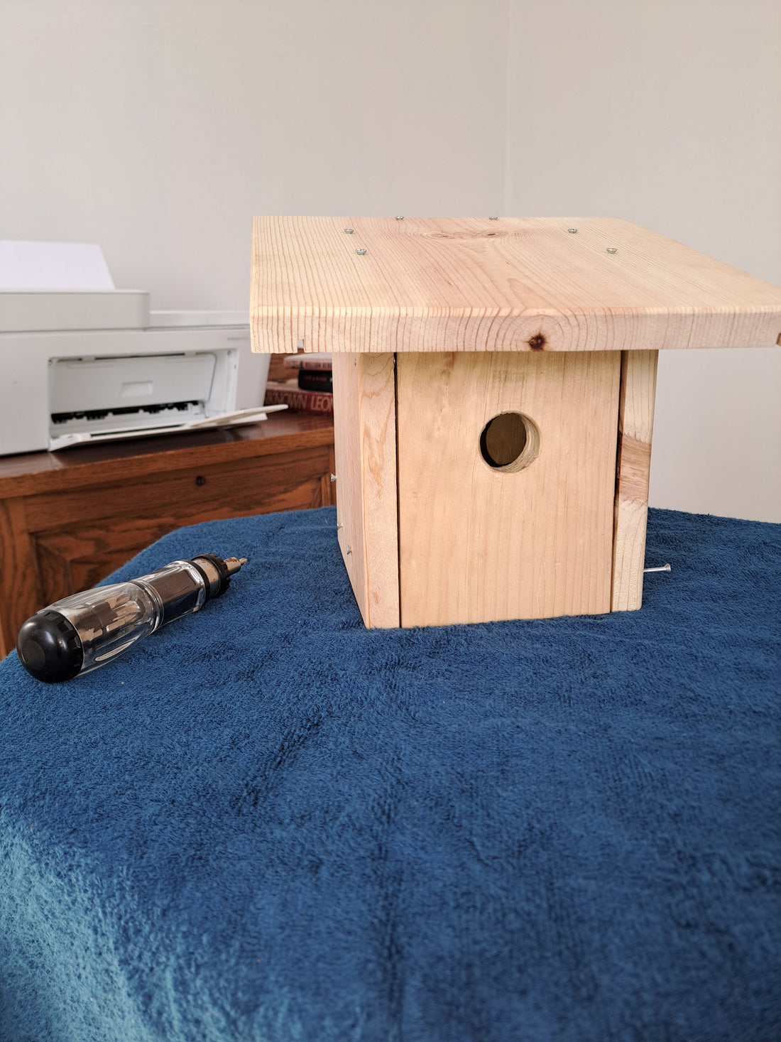 Birdhome: A DIY Project for the Whole Family