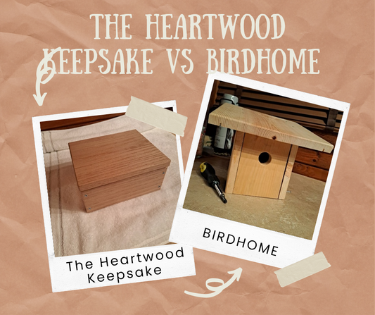 Birdhome vs. The Heartwood Keepsake : Which Feathers and Roots Kit Is Right for You?
