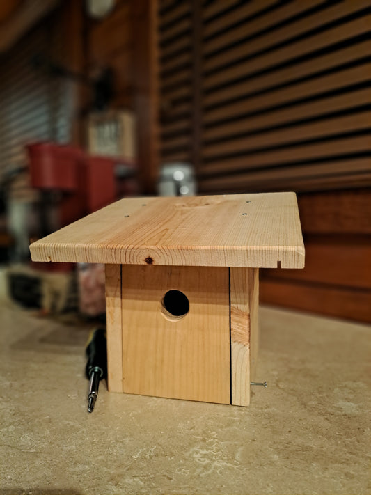 Fully Assembled Birdhome in Kitchen 